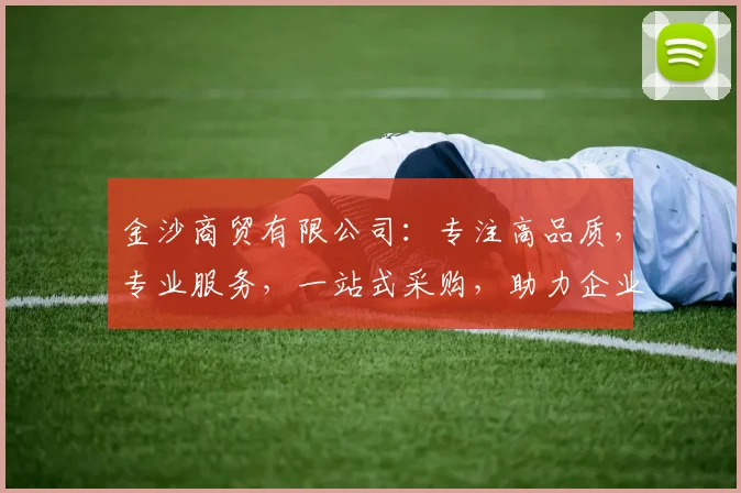 金沙商贸有限公司：专注高品质，专业服务，一站式采购，助力企业腾飞，三重优势，值得信赖。