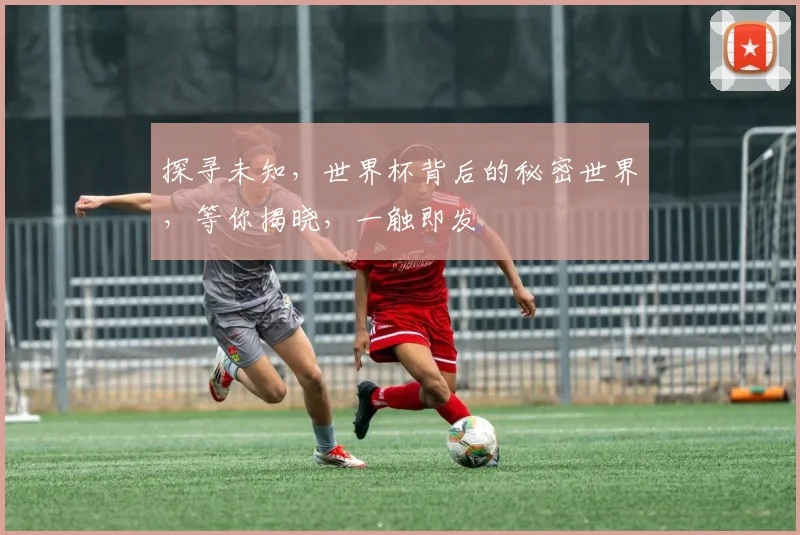 探寻未知，世界杯背后的秘密世界，等你揭晓，一触即发