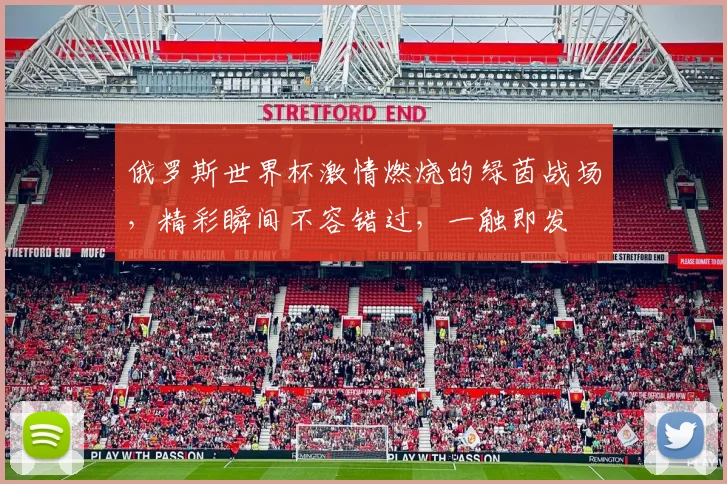 俄罗斯世界杯激情燃烧的绿茵战场，精彩瞬间不容错过，一触即发