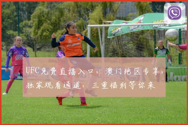 UFC免费直播入口，澳门地区专享，独家观看通道，三重福利等你来