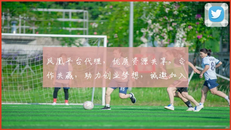 凤凰平台代理，优质资源共享，合作共赢，助力创业梦想，诚邀加入