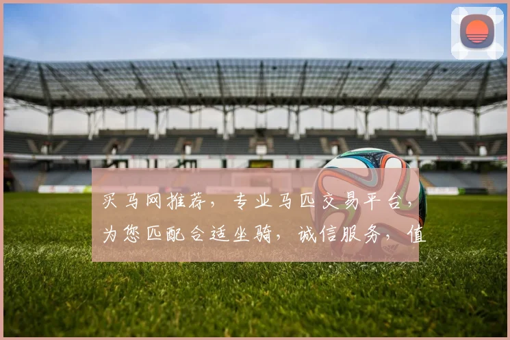 买马网推荐，专业马匹交易平台，为您匹配合适坐骑，诚信服务，值得信赖，快速交易，轻松驾驭