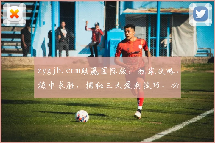zygjb.cnm助赢国际版，独家攻略，稳中求胜，揭秘三大盈利技巧，必看
