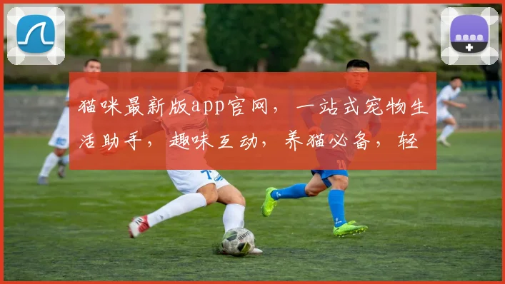 猫咪最新版app官网，一站式宠物生活助手，趣味互动，养猫必备，轻松解锁猫咪世界